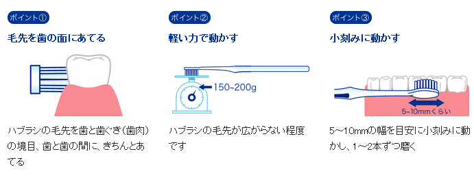 歯磨きの基本 歯磨きの基本