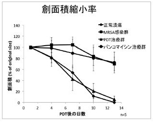 LED光の研究