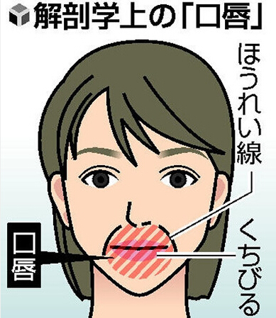 歯科 歯科